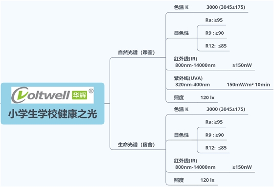 小学生学校健康之光.png